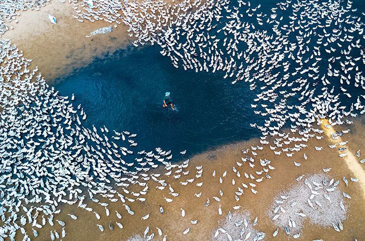25 Stunning Drone Pics That Will Change How You See The World_13