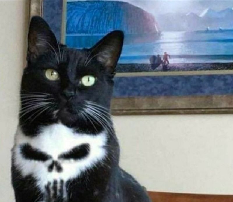 The Punisher's Number One Fan