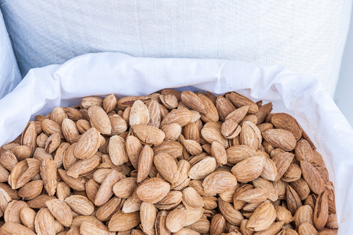 Almonds sold at shuk hacarmel market in Tel Aviv, Israel