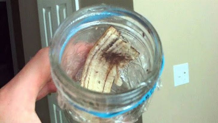 22 Surprising Things Banana Peels Can Do For You_58