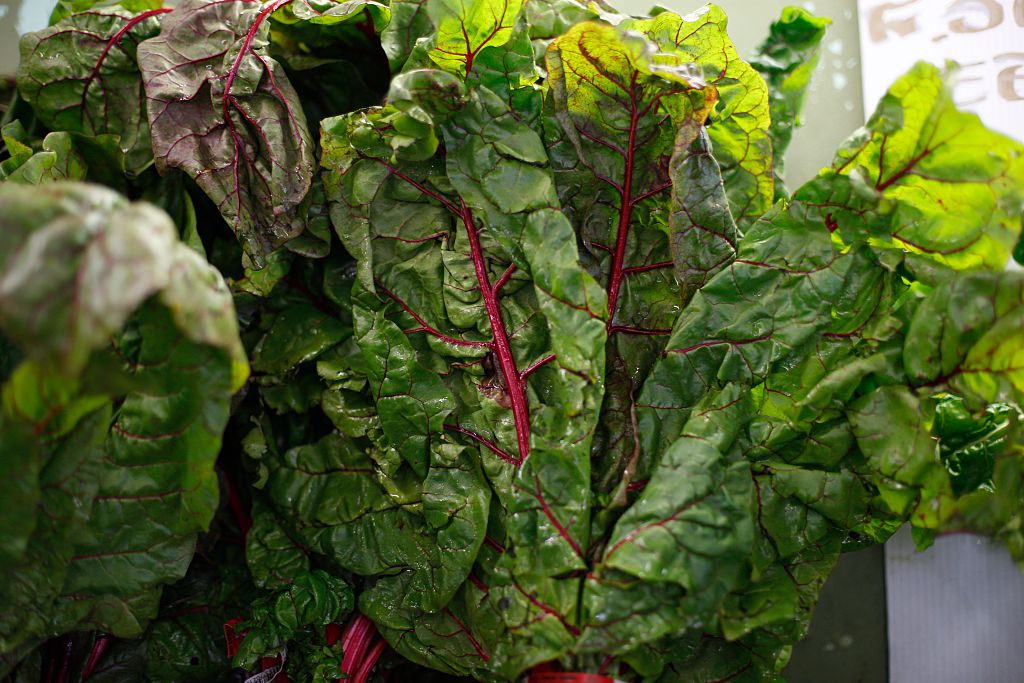 Swiss Chard