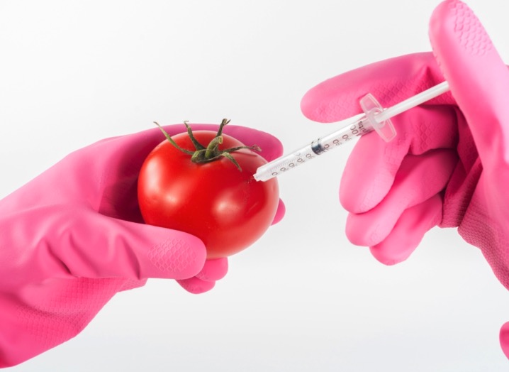 Understanding Genetically Modified Organisms