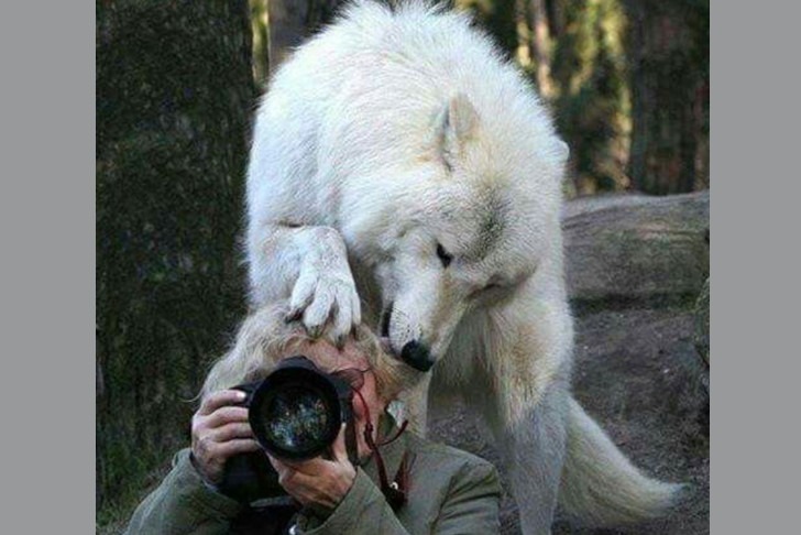 photo