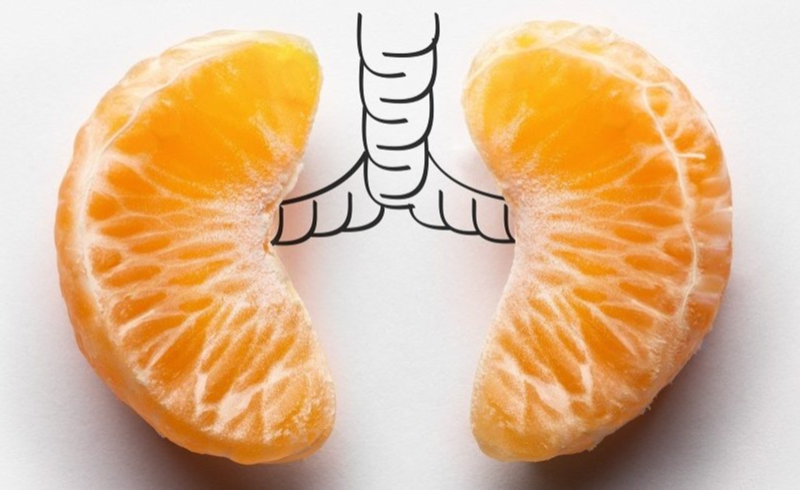 Oranges placed in the place of lungs in a drawing